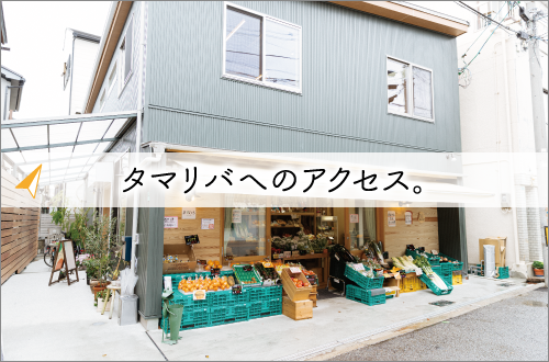 タマリバへのアクセス